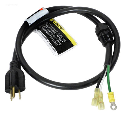 Pentair OptiFlo/Dynamo 3 ft Power Cord, Standard Plug (79137800)