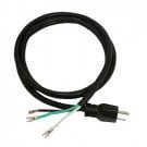 Pentair OptiFlo/Dynamo 3 ft Power Cord, Standard Plug (79137800)