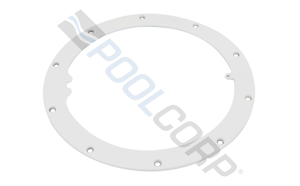 Pentair Sealing Ring, Pool Niche 10-Hole White Powder Coat | 79200255