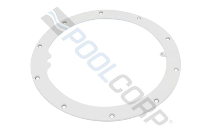 Pentair Sealing Ring, Pool Niche 10-Hole White Powder Coat | 79200255