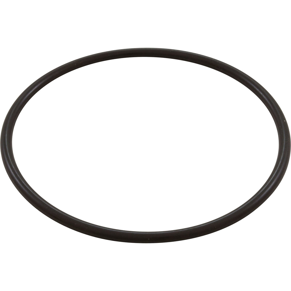 Waterway O-Ring 6" Trap Lid Bag - 805-0436B