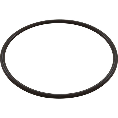 Waterway O-Ring 6" Trap Lid Bag - 805-0436B