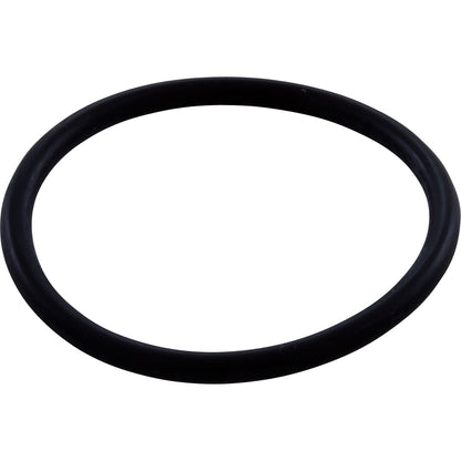 Polaris O-Ring WMS Upper to Vactube Interface - R0544000