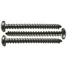 Poolvergnuegen (The Poolcleaner) Shroud Screws (3 per kit) (896584000-204)