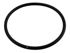 Sta-Rite System 3 O-Ring (35505-1425)