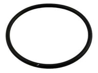 Sta-Rite System 3 O-Ring (35505-1425)