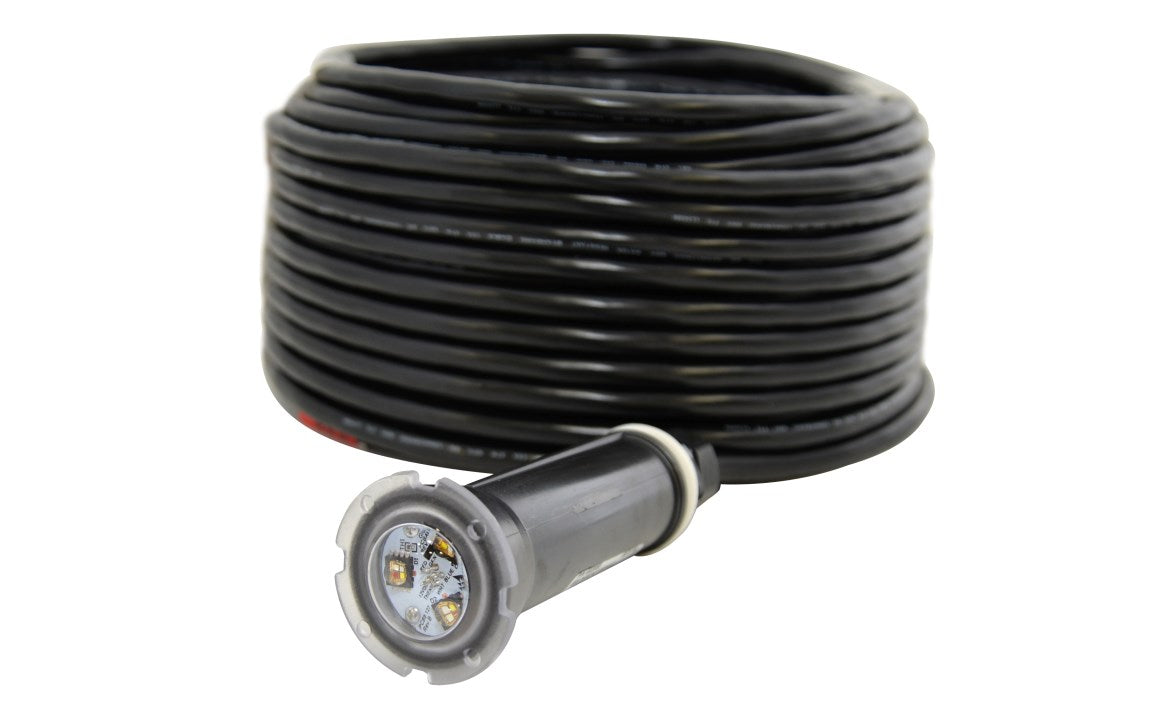 Pentair GloBrite® 602054 Color Changing LED Light 12V 15W 50' Cord