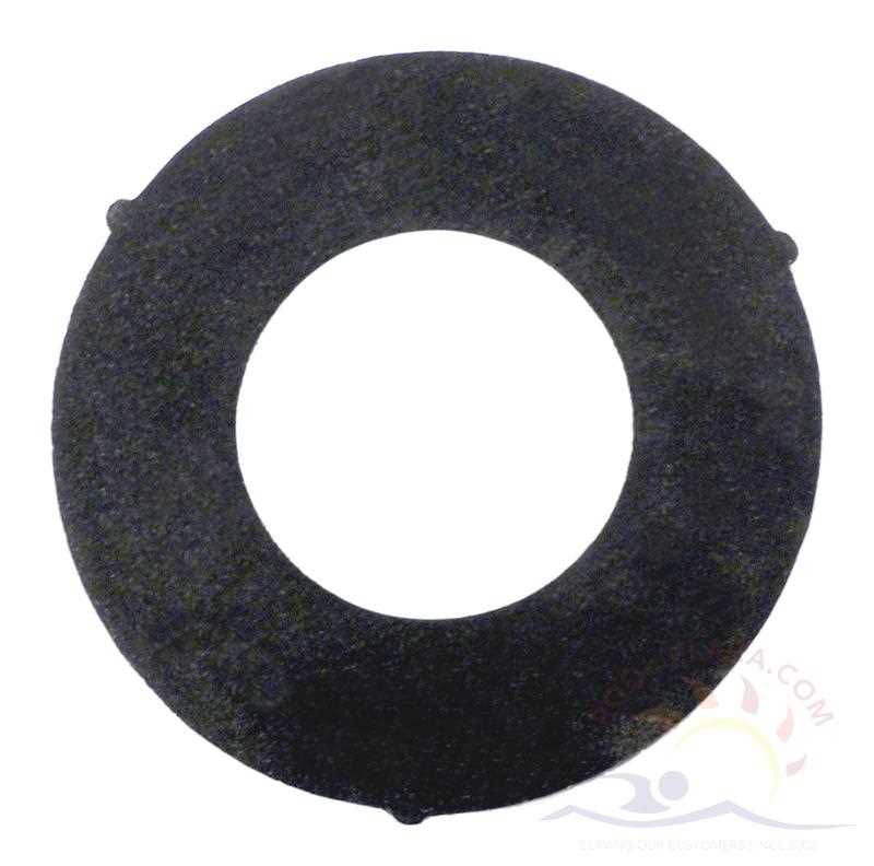 Pentair Clean and Clear Drain Cap Gasket (filter made before 11/98)