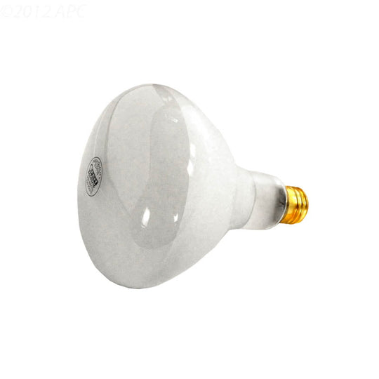 R40 Pool Light Bulb, 120v, 500W Medium Base