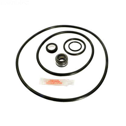 Sta-Rite Dura-Glas II /Max-E-Glass II (P4E/P4EA) Seal Kit (GO-KIT38) Overstock+