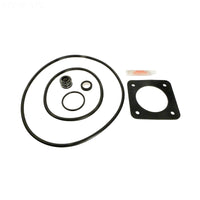 Sta-Rite DuraGlass MaxeGlass Pump Seal Kit P2DR - APCK1057