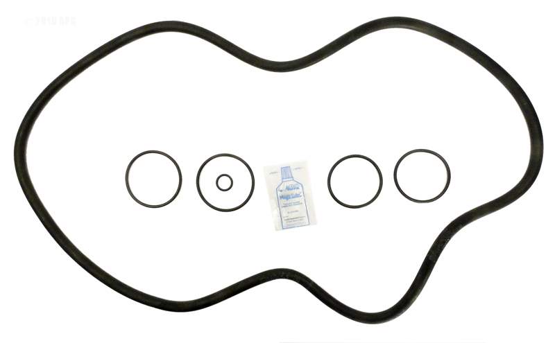 Hayward Super Star Clear O-ring Repl. Kit, C3000, C4000 (APCK1105) (RO-KIT220)