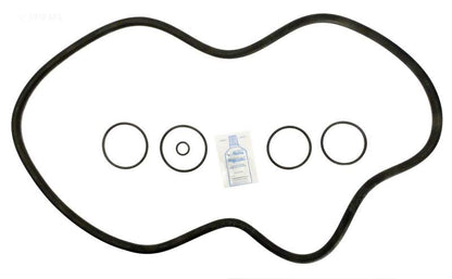 Hayward Super Star Clear O-ring Repl. Kit, C3000, C4000 (APCK1105) (RO-KIT220)