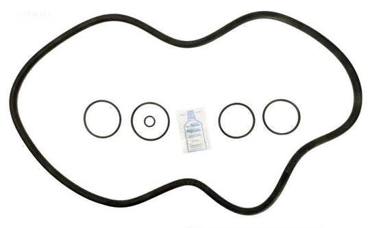 Hayward Super Star Clear O-ring Repl. Kit, C3000, C4000 (APCK1105) (RO-KIT220)