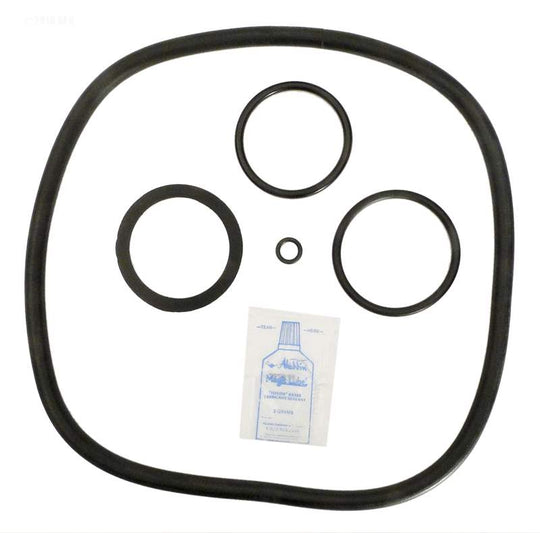 PacFab Mitra, SS Tank, O-ring Kit (APCK1120) (RO-KIT265)