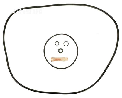 Hayward S200 Sand Filter O-ring Kit (APCK1135) (RO-KIT323)