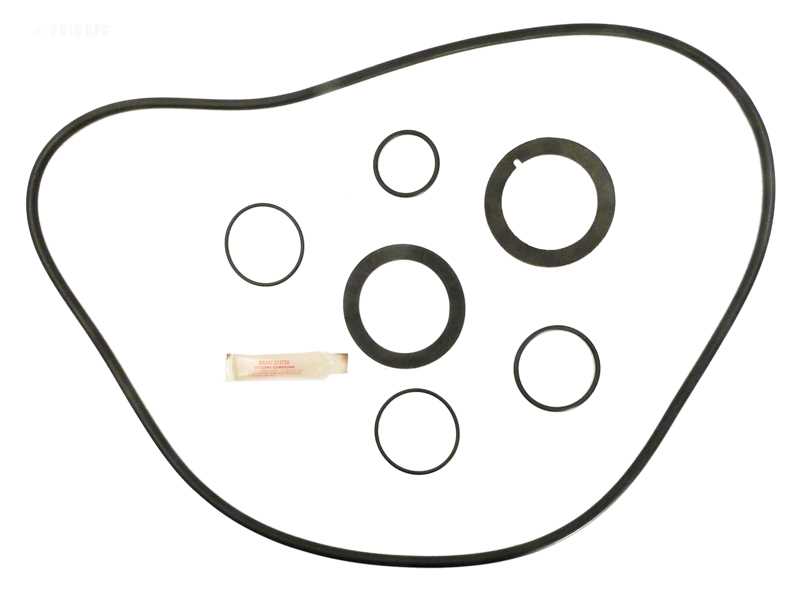 American Titan S/S DE Filter O-ring Kit (APCK1149) (RO-KIT400)