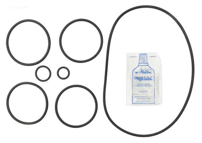 Pentair SMBW 2000 Filter O-ring Kit (APCK1157) (RO-KIT462)