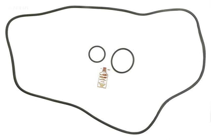 Sta-Rite DEP51 O-ring Kit (APCK1159) (RO-KIT471)