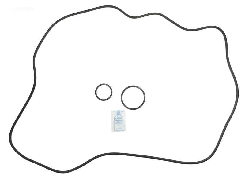 Sta-Rite DEP83 O-ring Kit (APCK1160) (RO-KIT472)
