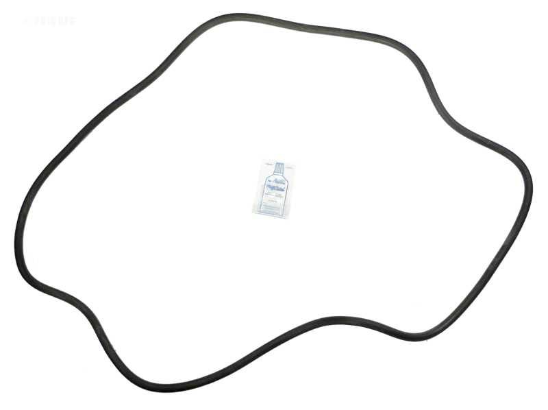 Sta-Rite DES51 O-ring Kit (APCK1163) (RO-KIT475)