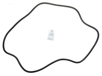 Sta-Rite DES51 O-ring Kit (APCK1163) (RO-KIT475)