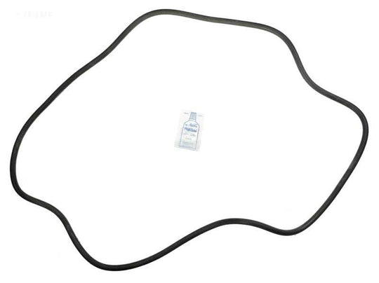 Sta-Rite DES51 O-ring Kit (APCK1163) (RO-KIT475)