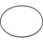 Aladdin Gasket Skimmer Plate O-Ring Baker Hydro 00B7000 - G-317-9