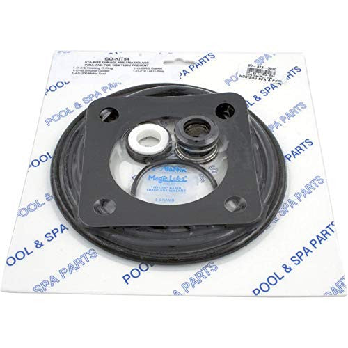 ALADDIN EQUIPMENT CO PUMP SEAL KIT (AFTER 1997) VITON STA-RITE P2R | GO-KIT54V-9