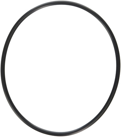 Hayward O-Ring | SPX0704F
