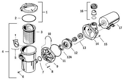 Hayward PowerFlo Housing O-Ring | SPX1580Z1