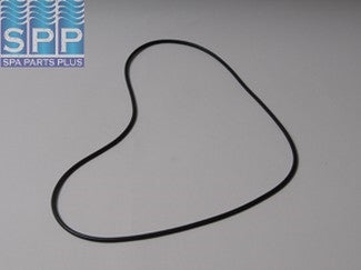 Waterway Lid O-Ring Clearwater - 805-0383