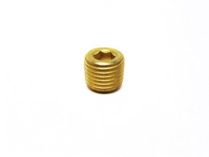 Aqua-Flo AC Series 1/4" Pipe Plug - 92290000