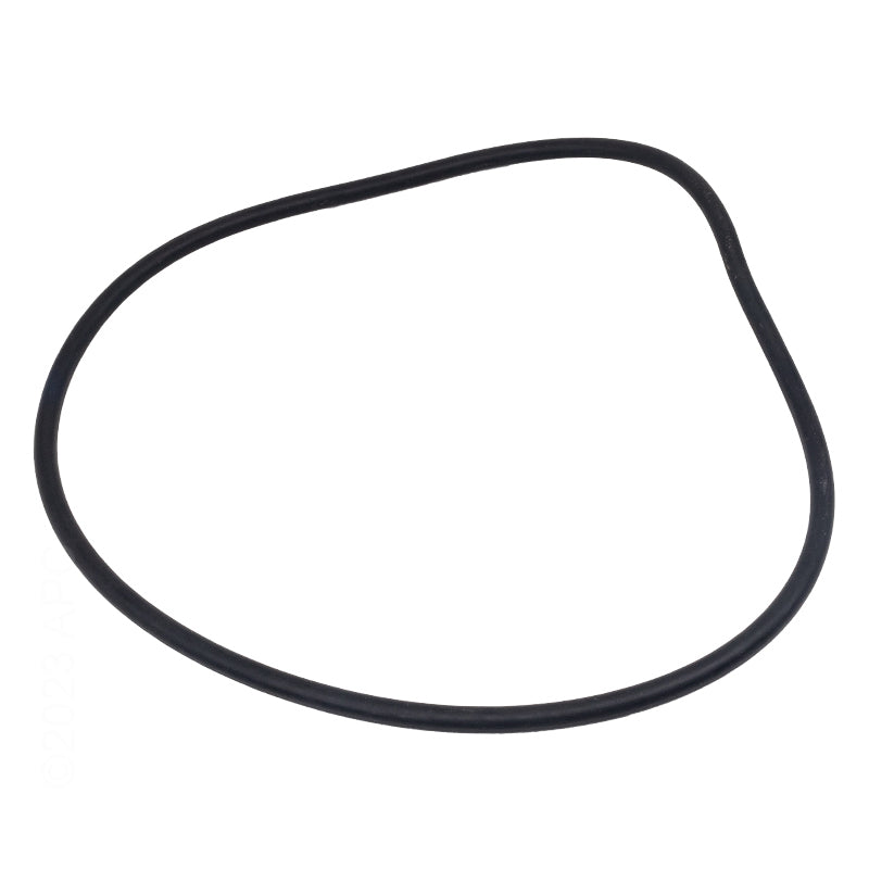 Super-Pro O-470-9 Sandpiper/Quantum™/Titan Tank O-Ring after November 1994