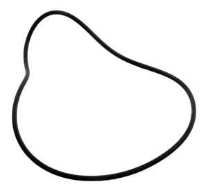 Pentair SMBW Valve Body O-ring. (071427) (P24103)