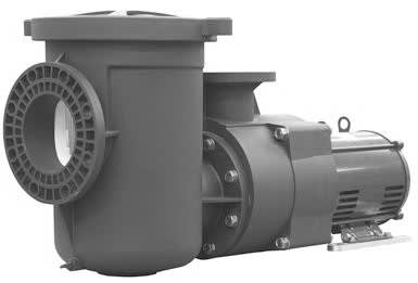 Pentair EQ Series 340606 EQ Series 3 Phase TEFC Super-Duty Commercial Pump with Strainer; 10 HP, 208-230 per 460 V, 26.4 - 23.5 per 11.7 Amp