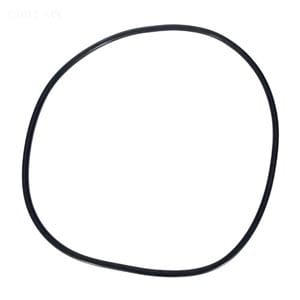 Pentair Tank Clamp O-Ring - Thumbnail 2