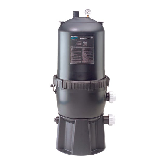 Sta-Rite System 2 PLD DE Filter, 48 Sq. Ft.(PLDE48)