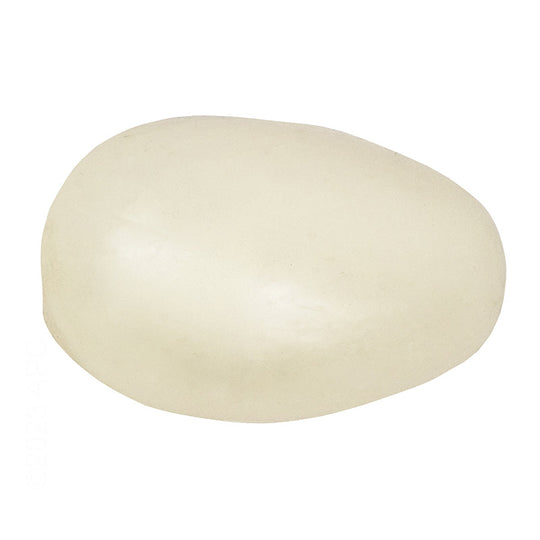 Zodiac T5 Float - R0509000