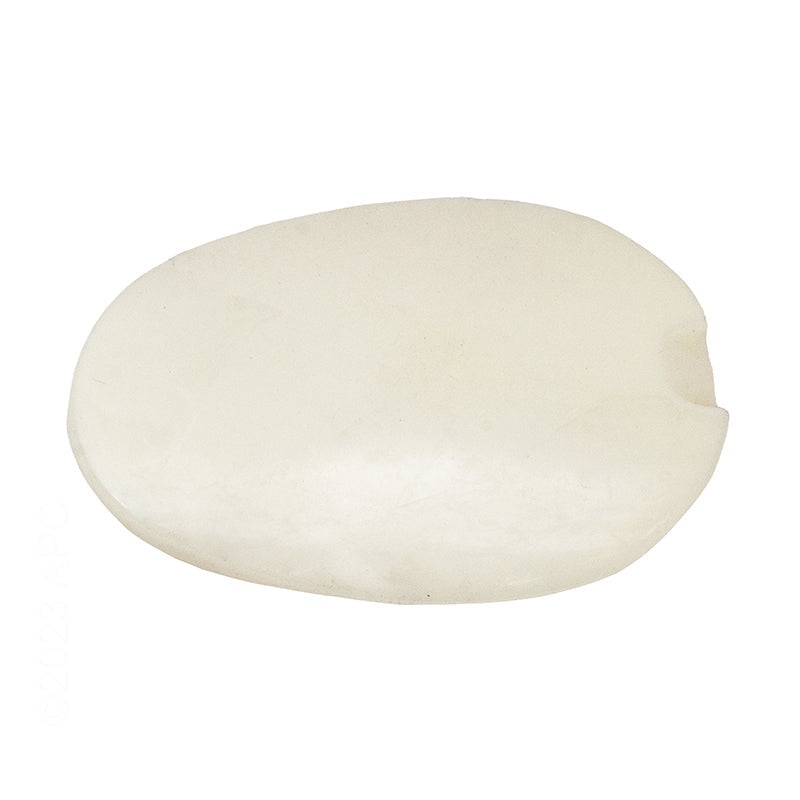 Zodiac T5 Float - R0509000