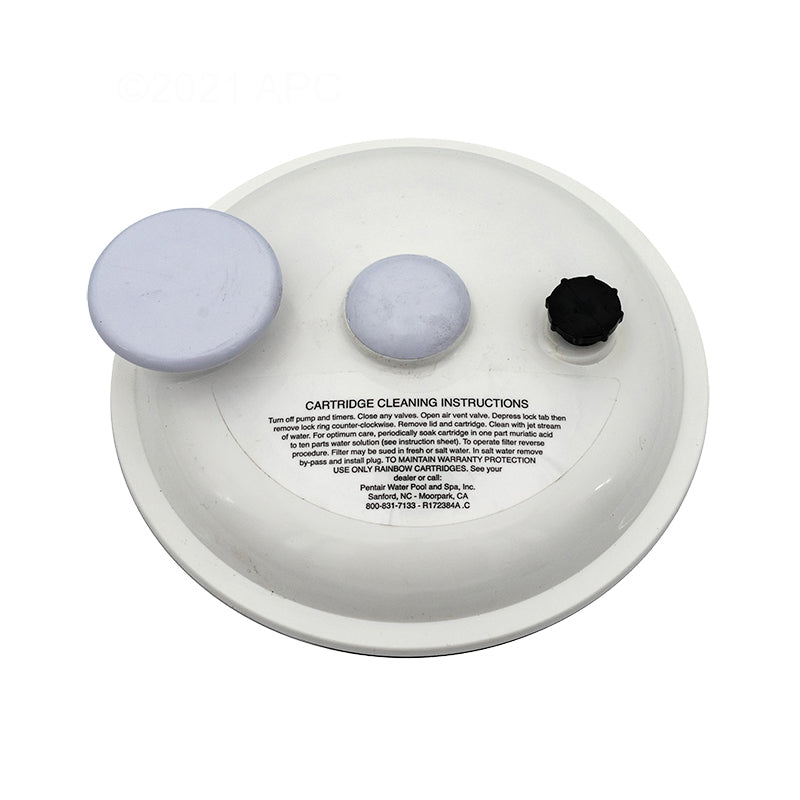 Pentair Complete Lid Assembly - R172385