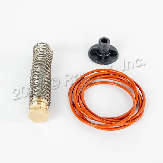 Raypak Digital Heater Bypass Valve | 016194F