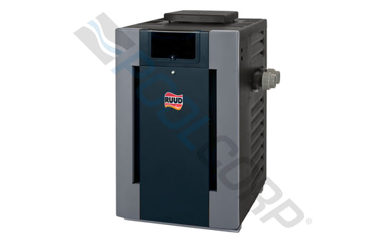 RAYPAK INC NG IID 0-2K DIGITAL HEATER P-D406A-EN-C #50 399K | 009997