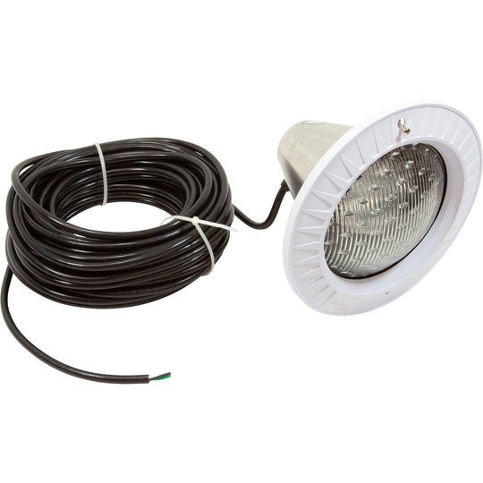 Hayward AstroLite Pool Light 100W 12V 100' Cord - SP0580100