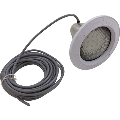 Hayward AstroLite Pool Light - 300W - 12V - 50' Cord - SP058150