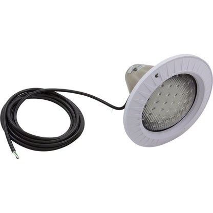 Hayward AstroLite Pool Light - 500W - 120V - 30' Cord - SP0583L30