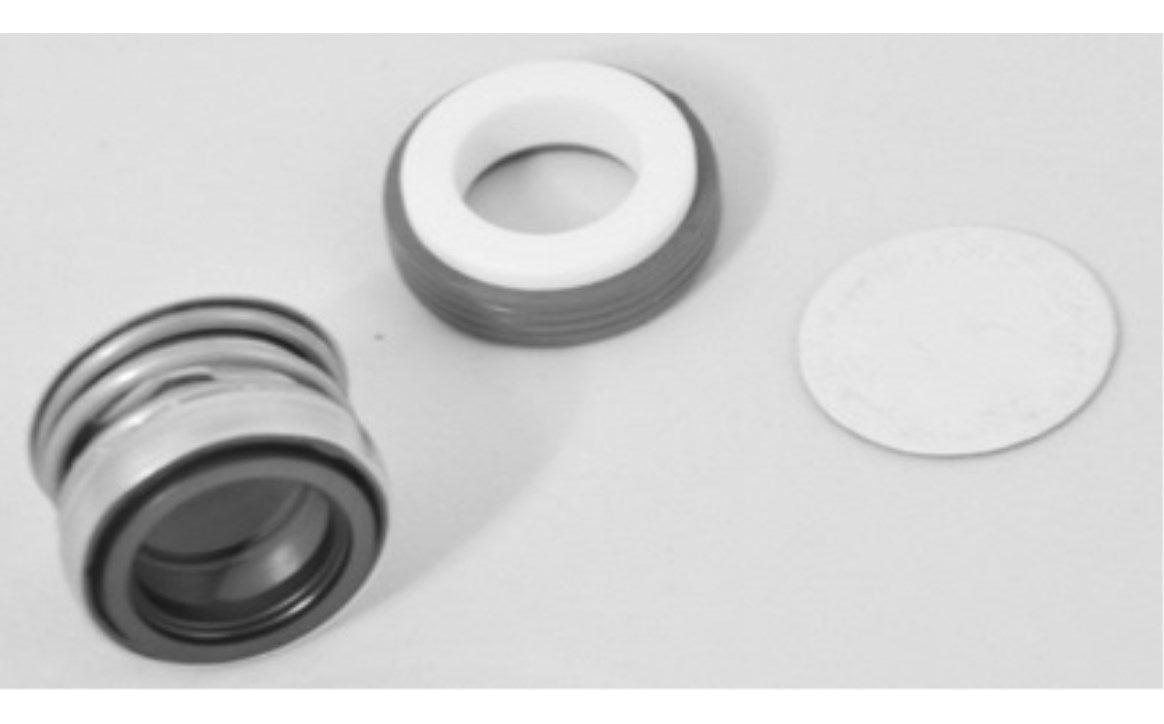 Aladdin Viton Shaft Seal PS200 - 200V-9