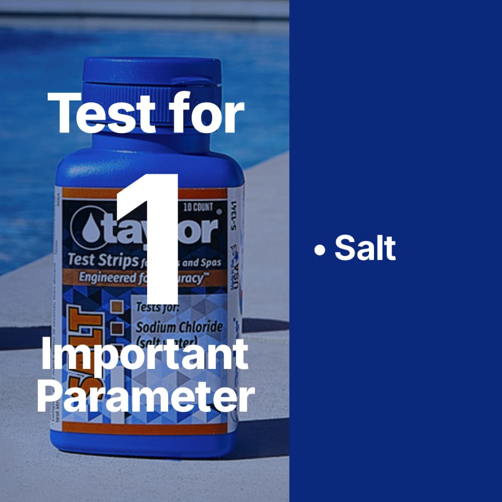 Taylor Salt Test Strips, 10 Strips/Bottle, 12/Case | S-1341-12