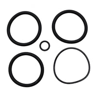 Anthony 2 in Plastic Slide Valve Oring Kit (4 pieces) (V34-141)