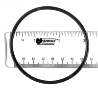 WaterWay Crystal Water Handle O-ring (2 Needed) (805-0233B)